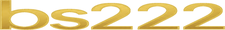 bs222 Logo